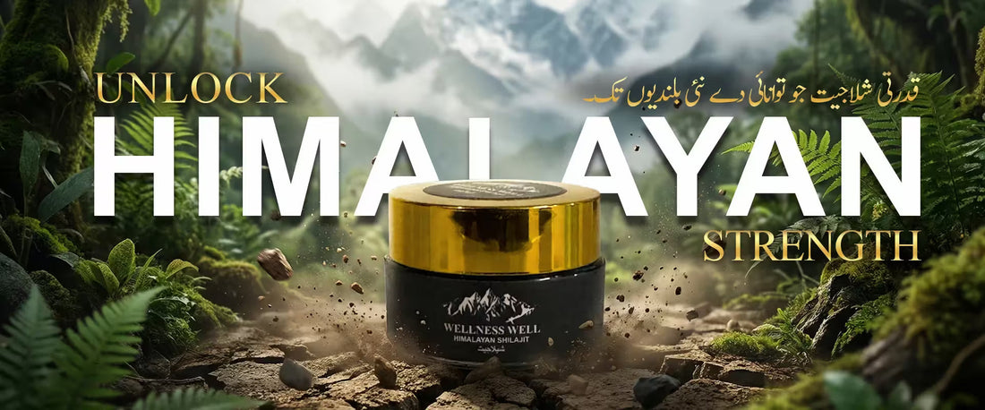 Shilajit Benefits for Females: Why Women Should Consider This Ancient Superfood