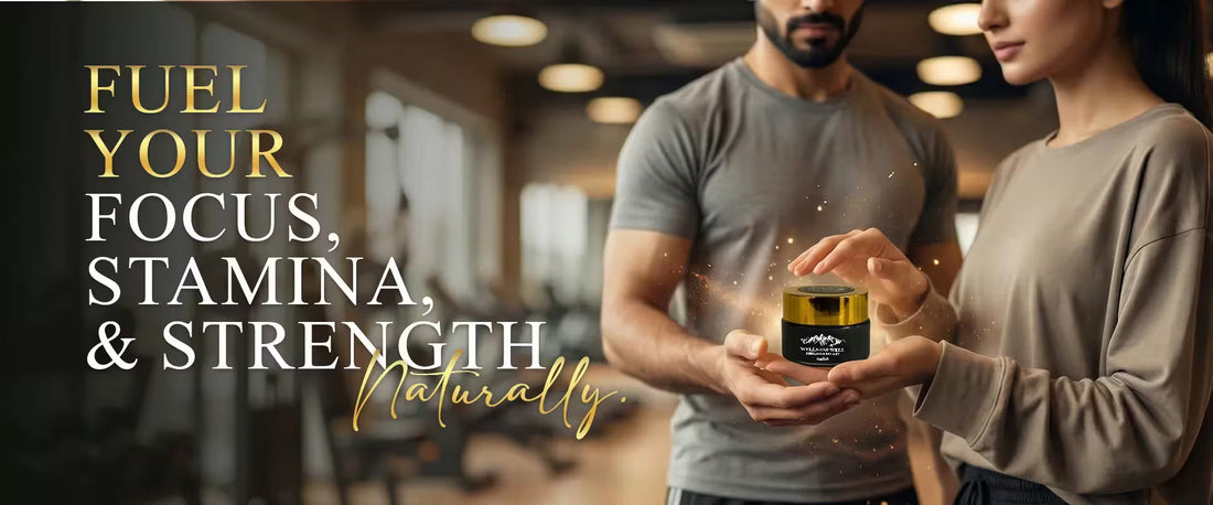 Health Benefits of Shilajit for Males’ Health and Vitality