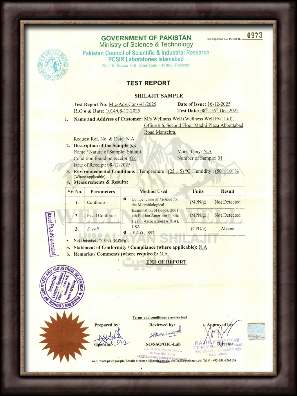 10 Gram Shilajit Pure Himalayan Organic Shilajit Resin