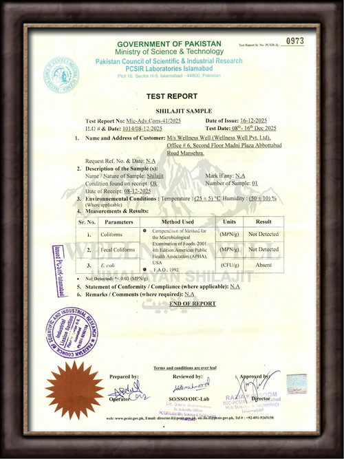 10 Gram Shilajit Pure Himalayan Organic Shilajit Resin