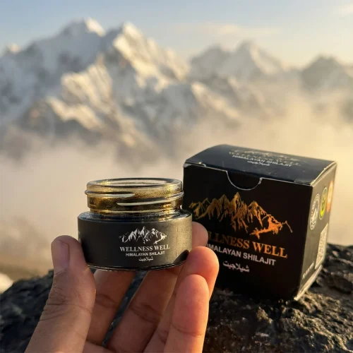 20 Gram Shilajit Pure Himalayan Organic Shilajit Resin